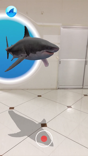 空中を泳ぐリアルなサメをar表示できる Shark アプリ内課金でホオジロザメを表示 12 写真共有サイト フォト蔵