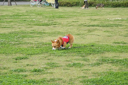 DSC08467