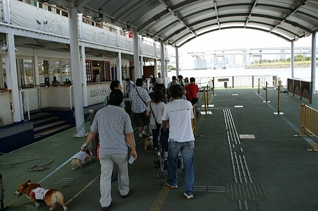DSC08998
