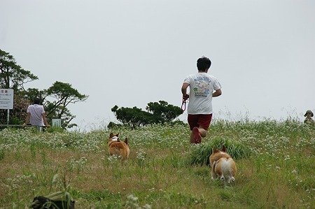 DSC09946
