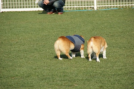 DSC06699
