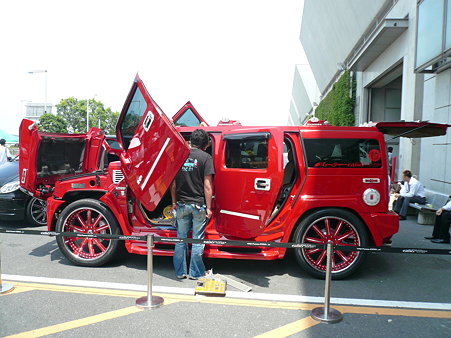 P31