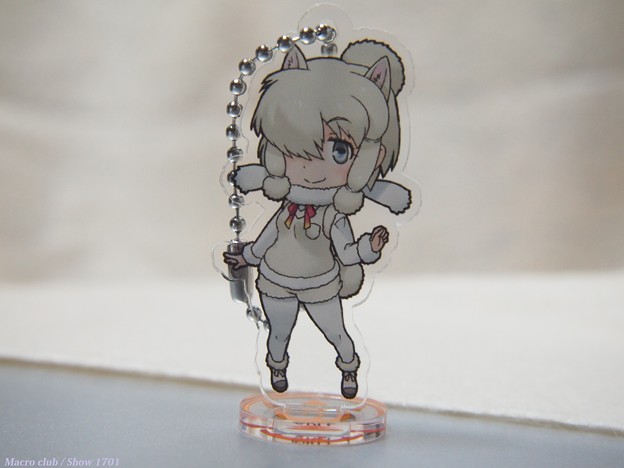 アクリルあるぱかちゃん 写真共有サイト フォト蔵