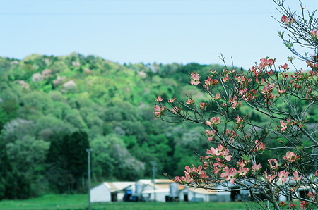 CONTAX159MM_FUJI_Velvia50_05052011-01