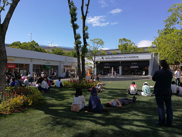 resize15782 写真: resize15782