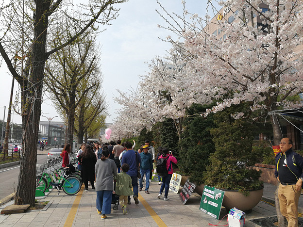 resize15691 写真: resize15691