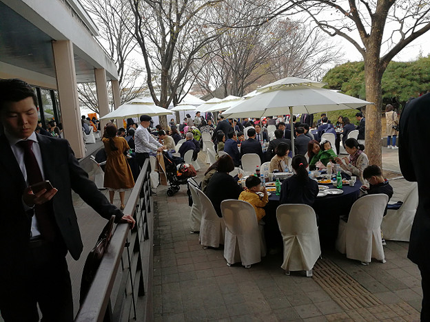 resize15660 写真: resize15660