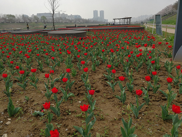 resize15820 写真: resize15820
