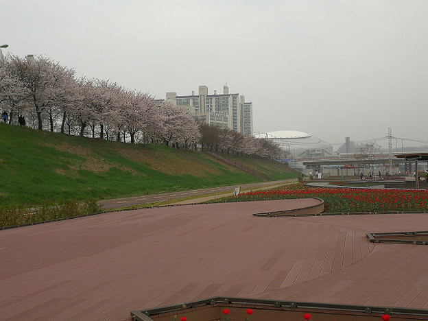 resize15821 写真: resize15821