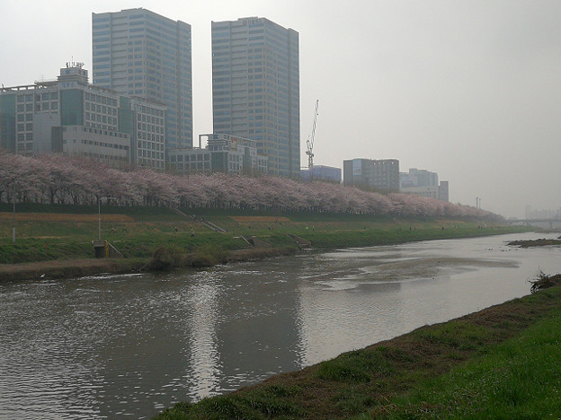 resize15823 写真: resize15823
