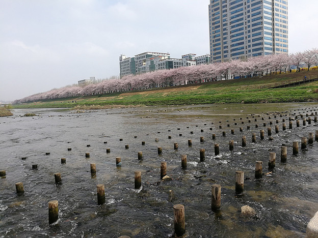 resize15830 写真: resize15830