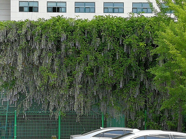 resize16042 写真: resize16042