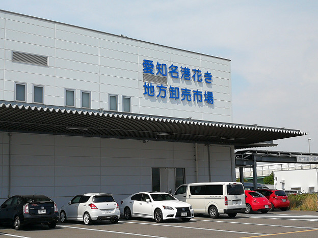 resize16537 写真: resize16537
