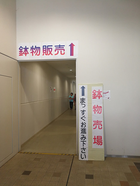 resize16545 写真: resize16545