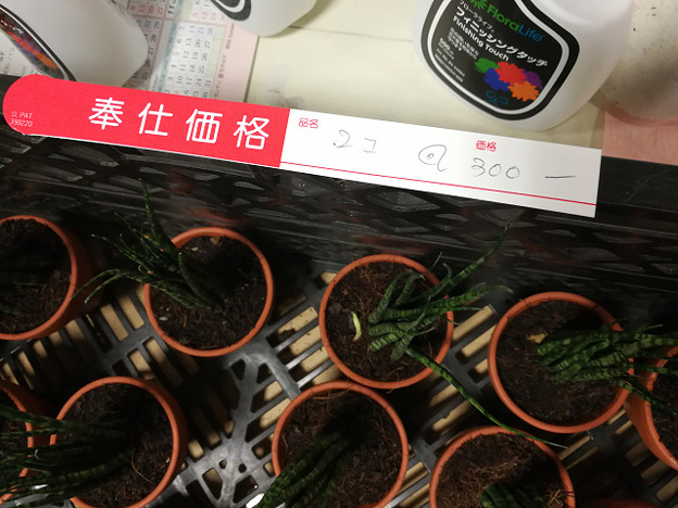 resize16561 写真: resize16561