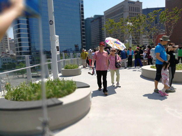 resize16493 写真: resize16493