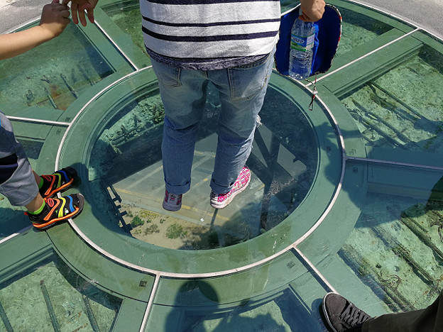 resize16498 写真: resize16498
