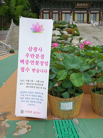 resize17224 写真: resize17224