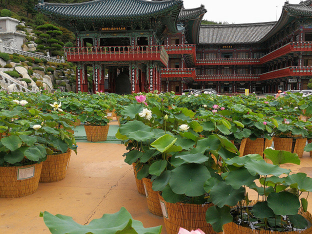 resize17226 写真: resize17226