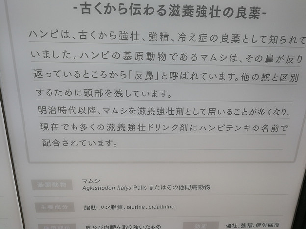 resize18123 写真: resize18123