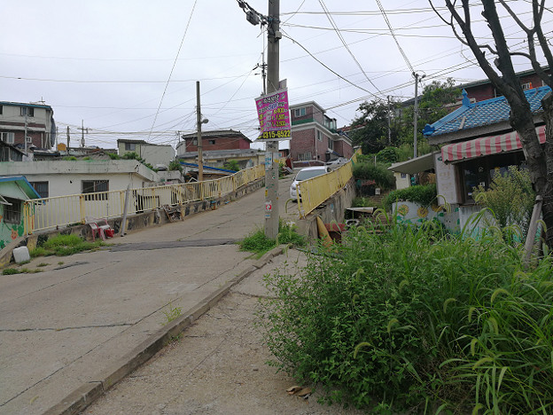 resize17885 写真: resize17885