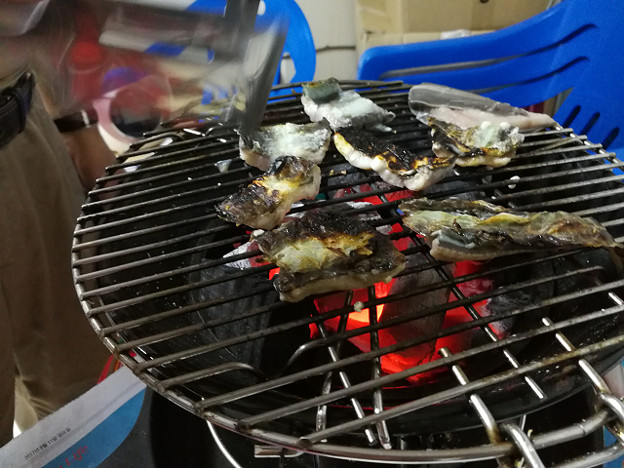 resize17948 写真: resize17948