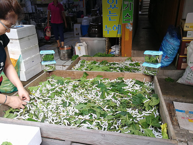 resize18302 写真: resize18302