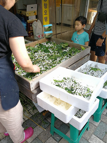 resize18303 写真: resize18303