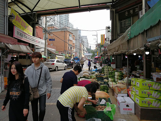 resize18565 写真: resize18565