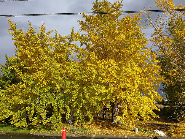 resize18746 写真: resize18746