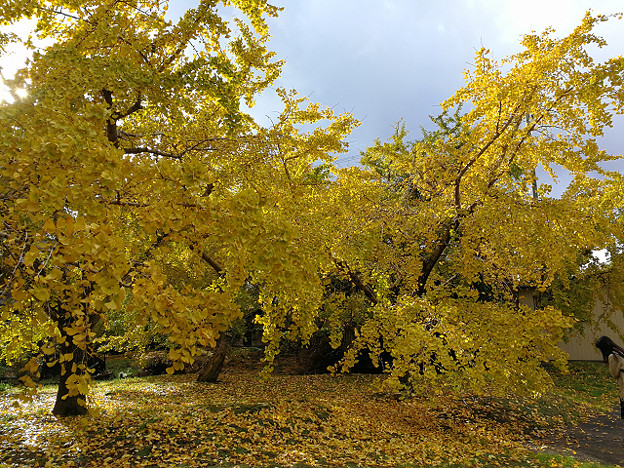 resize18764 写真: resize18764
