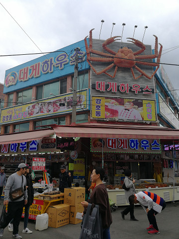 resize19519 写真: resize19519