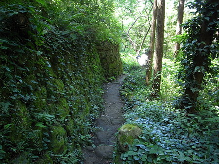 岩地遊歩道。左側の石垣は苔が覆われている