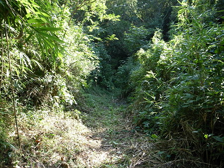 萩谷崎の岩地遊歩道