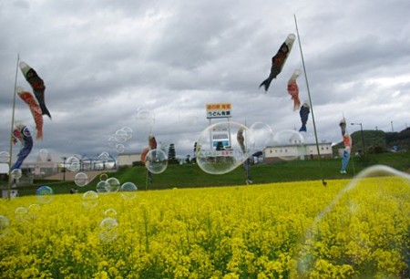 IMGP4108_0421