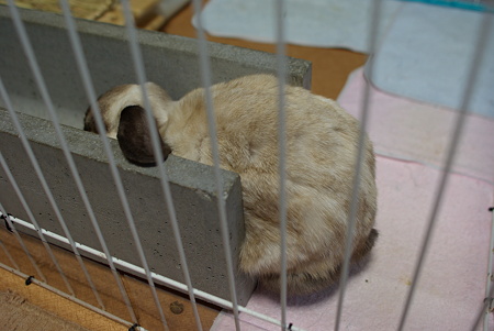 IMGP1639