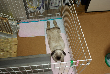 IMGP1657
