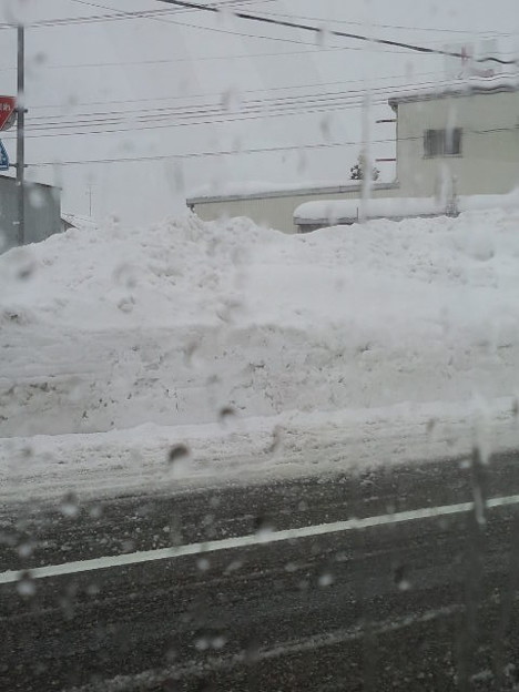 ウヘァ D 写真共有サイト フォト蔵