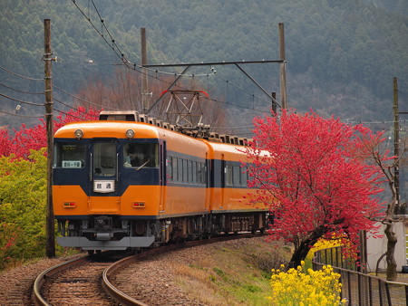 大井川鐵道16000系普通 抜里~川根温泉笹間渡01