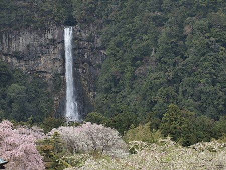 那智熊野大社 15