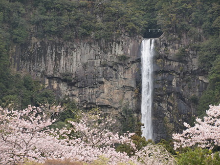 那智熊野大社 19