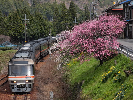 キハ85系ワイドビューひだ 高山本線下油井駅02