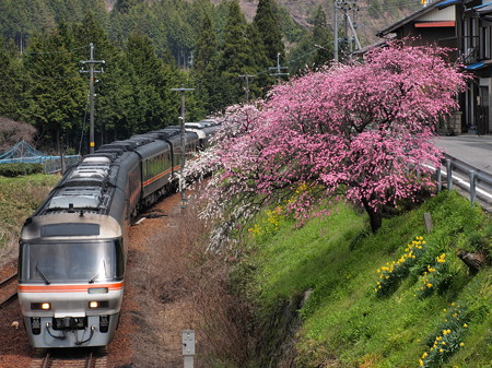 キハ85系ワイドビューひだ 高山本線下油井駅03