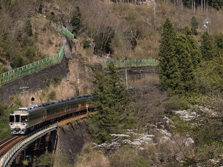 キハ85系ワイドビューひだ 高山本線下呂~焼石11