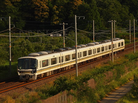 221系普通 東海道本線彦根~米原