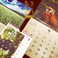 もぅ秋の肌寒さ、もぅ9月スタート ～岩合光昭にゃんこ・信州ソバ畑・猫川柳・カレンダー