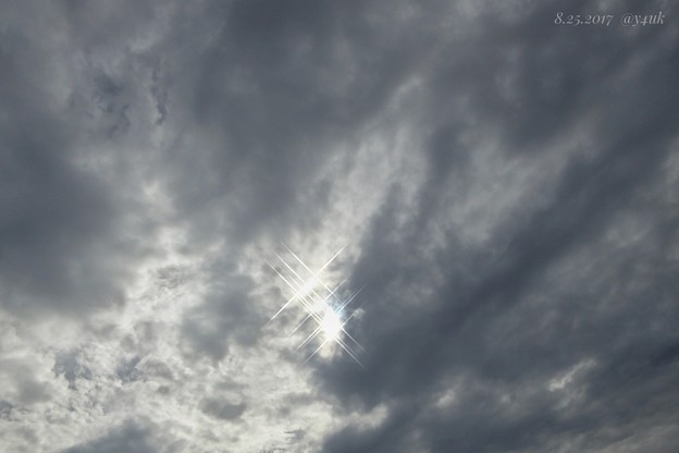 Photos: 暗く厚い雲の向こう、クロスの光が呼んでいた ～飛んでいきたい