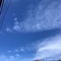 Photos: 秋晴れのした電線を辿って～autumn sky～[iPhone8/8Plus予約開始日]