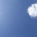 Photos: 10:11台風一過の青空 ～久しぶり典型～blue sky only am