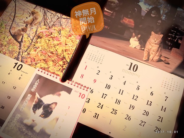 Photos: 神無月 開始 ～にゃんこもお猿も秋色カレンダー～Xmasあと3か月